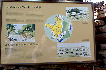 Serengeti NP Tourist Center display Migration