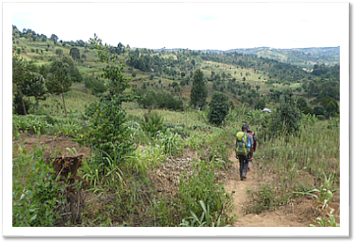 Usambara Mountains: to Rangwi
