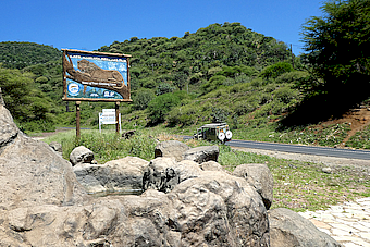 Lake Manyara Entrance poster
