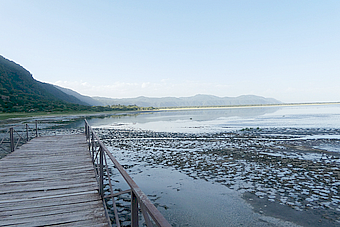 Lake Manyara Maji Moto Kubwa