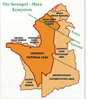 Serengeti Ecosystem