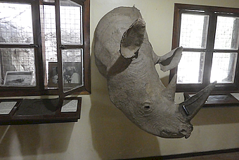Serengeti NP Museum Michael Grzimek