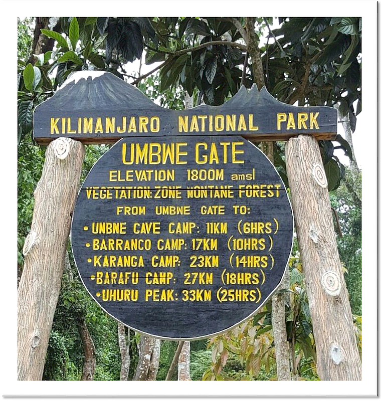 Umbwe gate