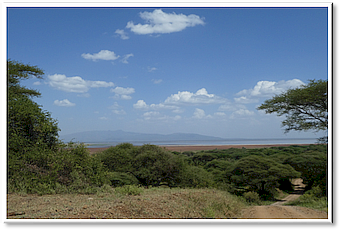 Manyara-NP view to the lake