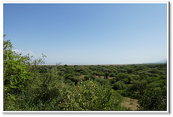 manyara picnicview