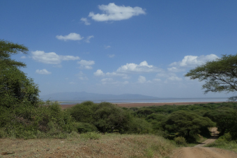 Manyara NP -  View to Lake
