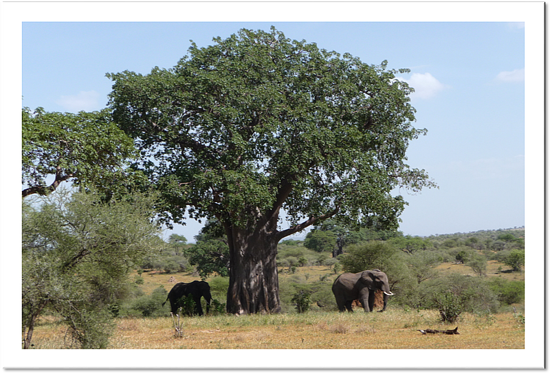 Tarangiri NP