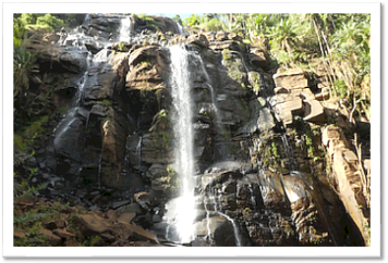Usambara Mountains: Kisasa Waterfalls