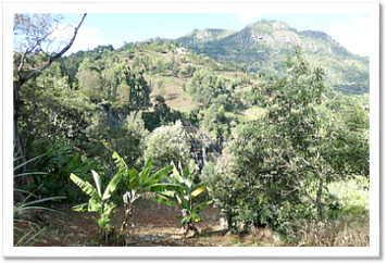 Usambara Mountains: view to little Waterfall