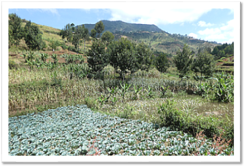Usambara Mountains: landscape round Rangwi
