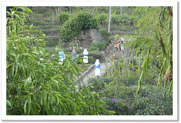 Usambara Mountains: Rangwi sisters