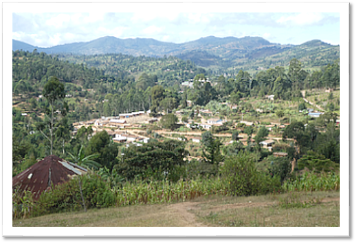 Usambara Mountain: Rangwi