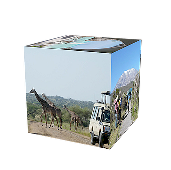 safari cube